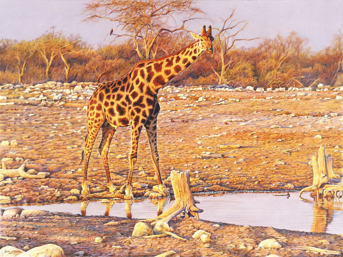 Giraffe Diamond Painting