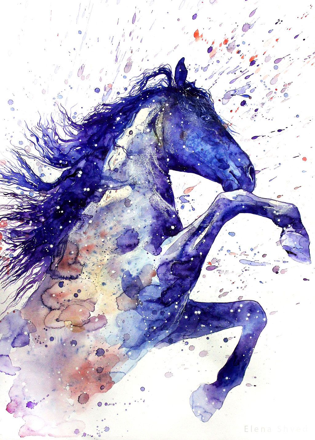 Alluring Horse Diamond Painting Kit