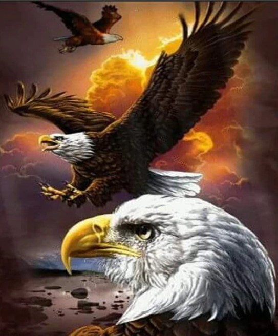 Angry Bald Eagle Diamond Painting Kit