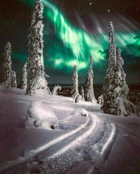 Aurora Snow Winter Paint by Diamonds