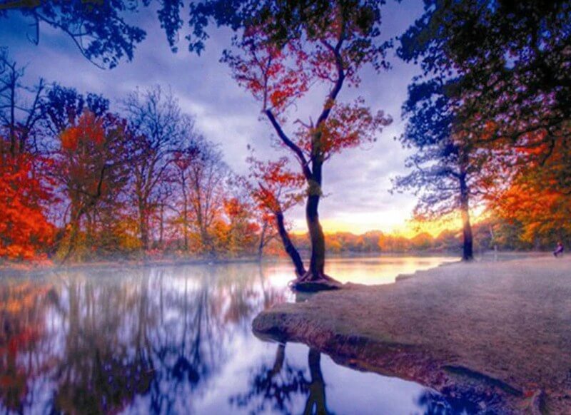 Nature View Diamond Painting