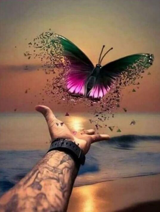Butterfly Vierkante diamanten Painting