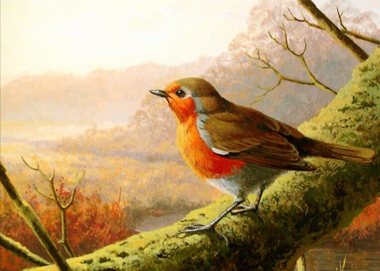 Beautiful Sparrow Paint by Diamonds