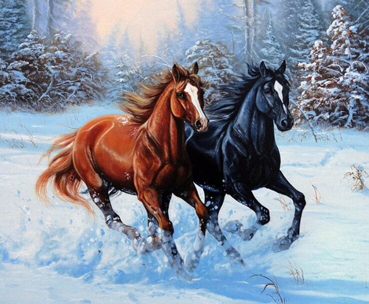 Horses DIY Diamond Painting
