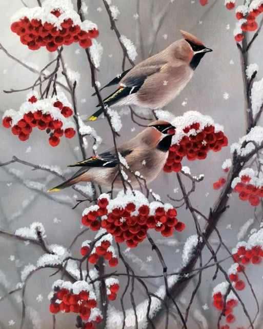 Bohemian waxwing Paint by Diamonds