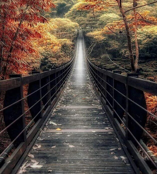 Bridge Diamond Painting Kit