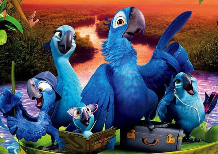 Cartoon Parrots Painting Kit