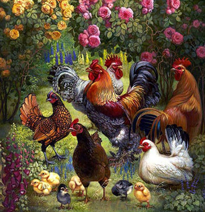 Chickens Vierkante diamanten Painting Kit