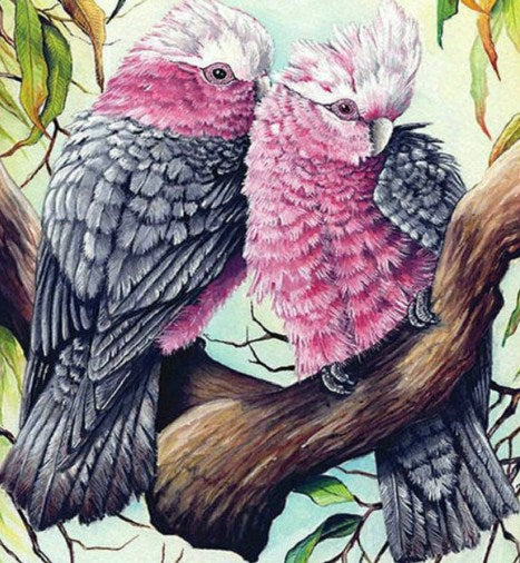 Cockatiel Pair Paint by Diamonds