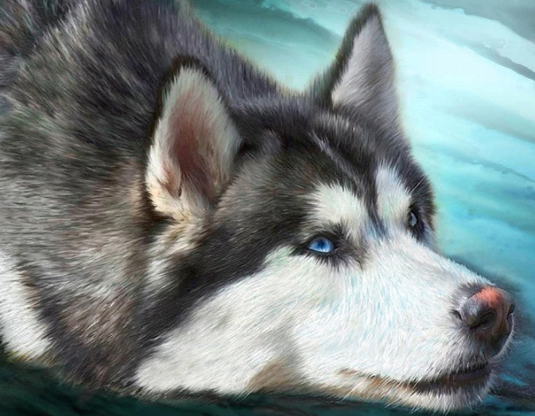 Cute Husky Diamond Painting Kit