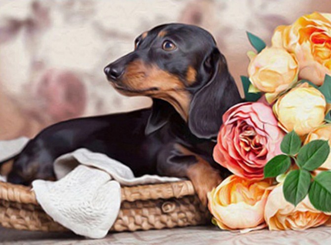 Dachshund & Flowers Paint with Diamonds