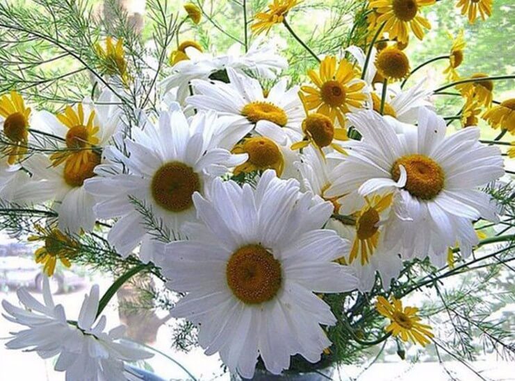 Daisy DIY Diamond Painting