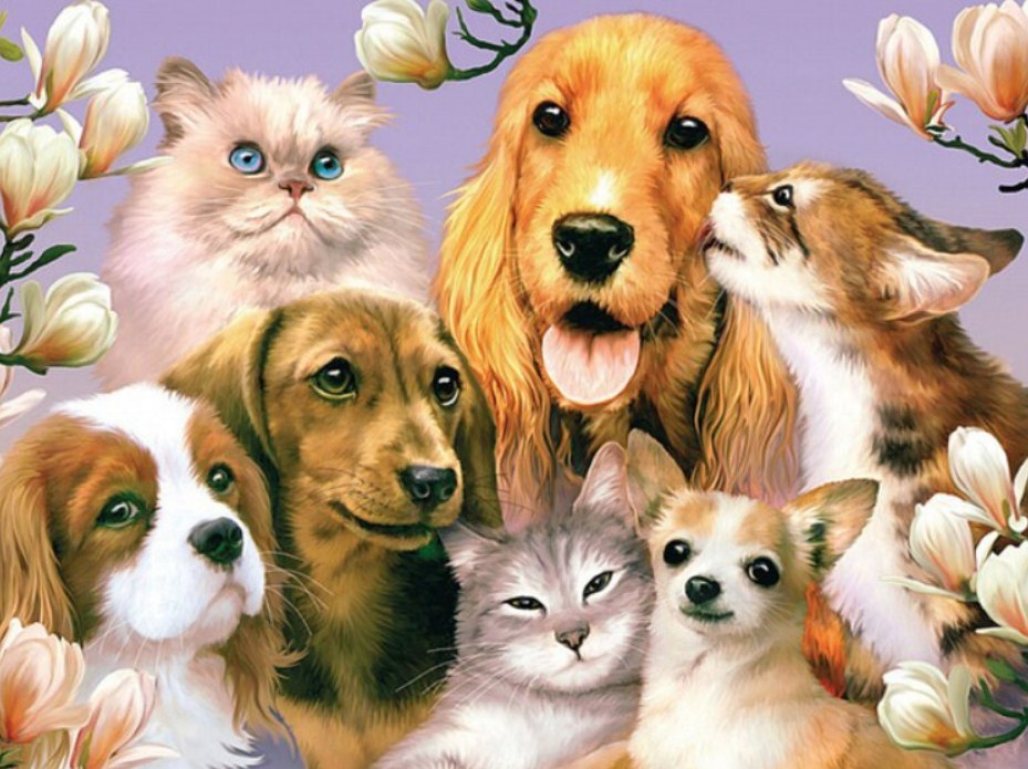 Dogs & Cats are Friends Paint by Diamonds