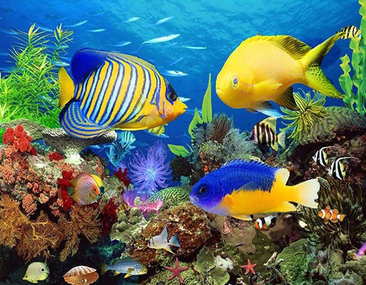 Fish Aquarium Diamond Painting Kit