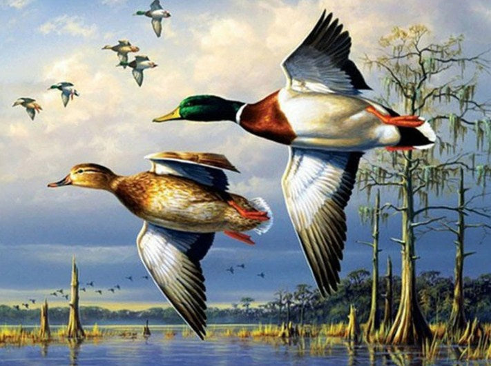 Flying Ducks Diamond Painting