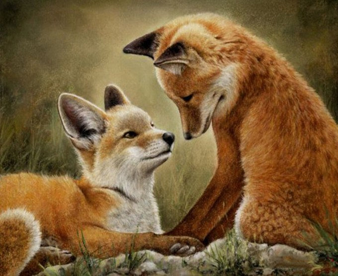 Fox Cubs Diamond Painting kit