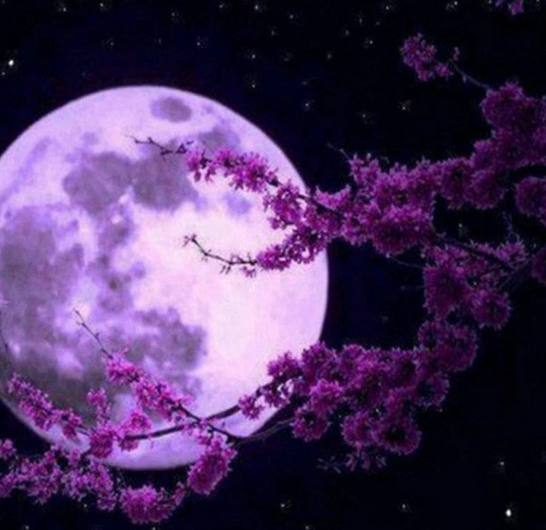 Full Moon DIY Painting