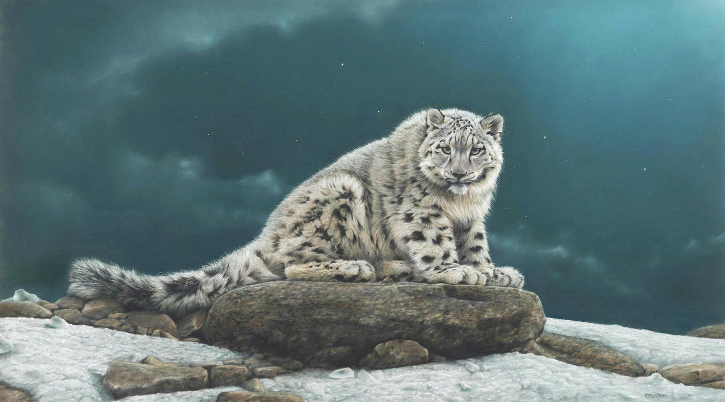 THE GHOST OF THE MOUNTAINS