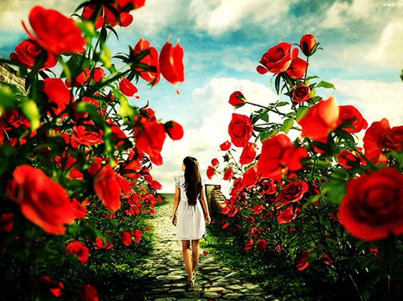 Girl Walking in Rose Garden Diamond Painting