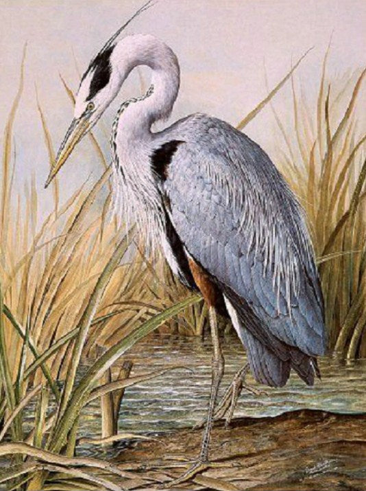 Great Blue Heron Paint by Diamonds