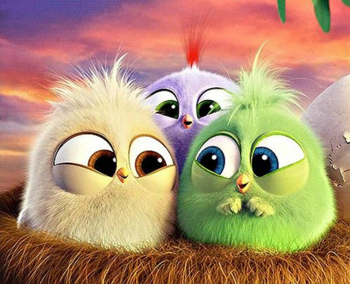 Happy Cartoon Birds Diamond Painting Kit