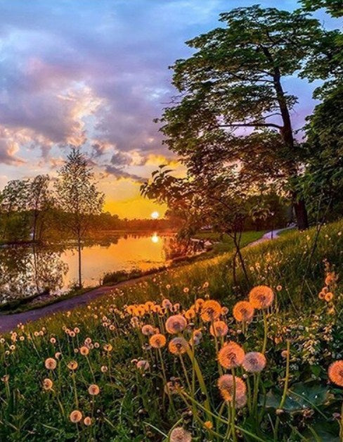 Happy Morning Paint by Diamonds