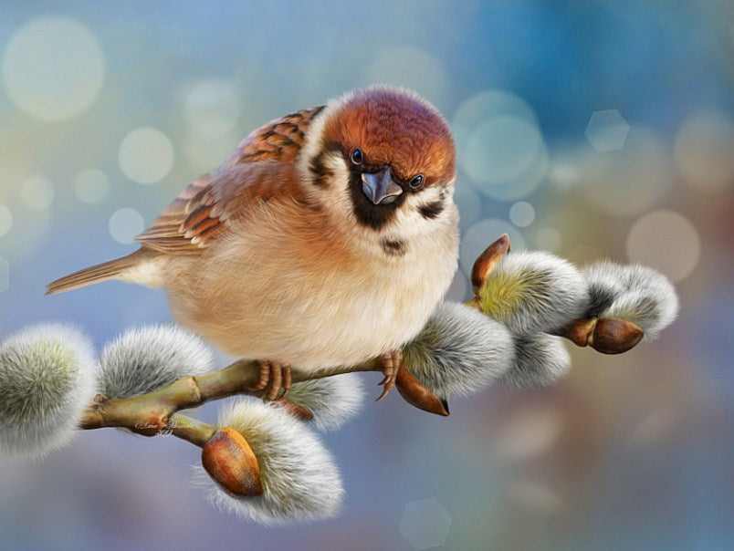 Happy Sparrow Diamond Painting Kit