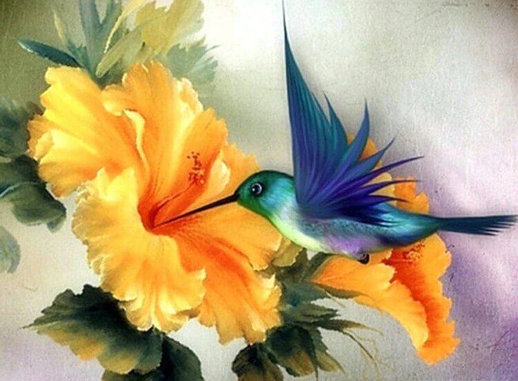 Humming Bird Diamond Painting