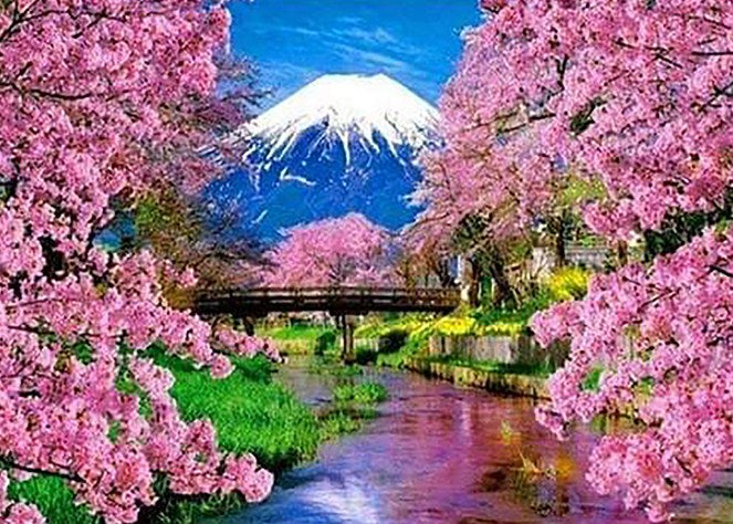 Cherry Blossoms Spring Paint by Diamonds
