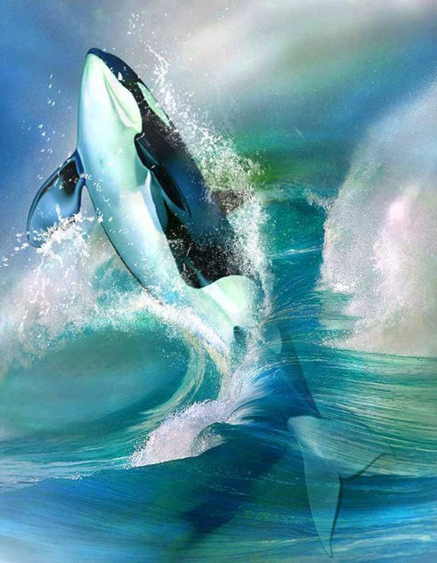 Killer Whale Diamond Painting Kit