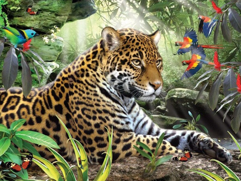 Leopard & African Parrots Diamond Painting