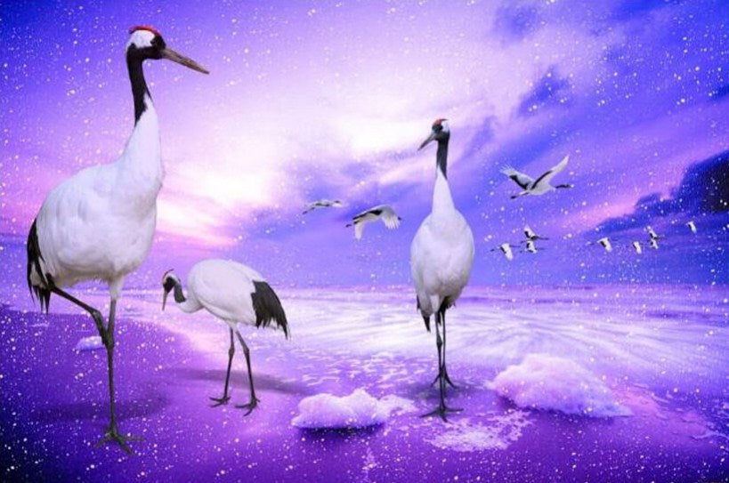 Long Legged Cranes Paint by Diamonds