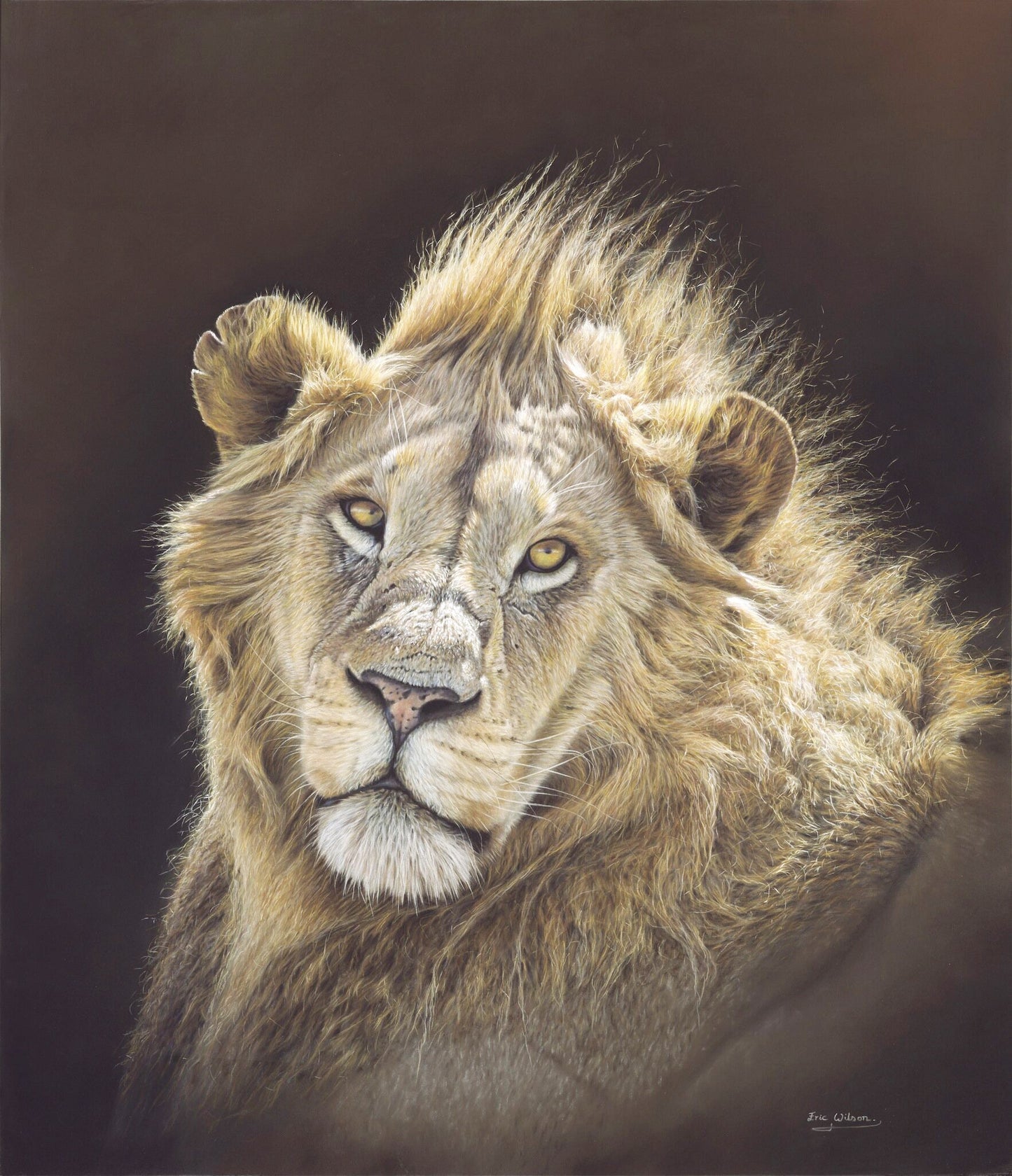 Lion Portrait