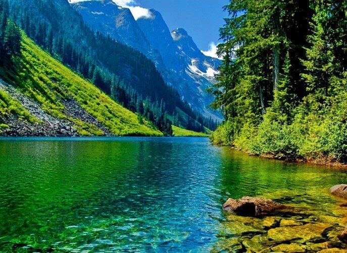 Nature DIY Diamond Painting