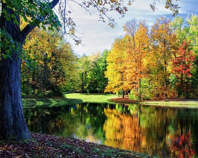 Peaceful View Paint by Diamonds