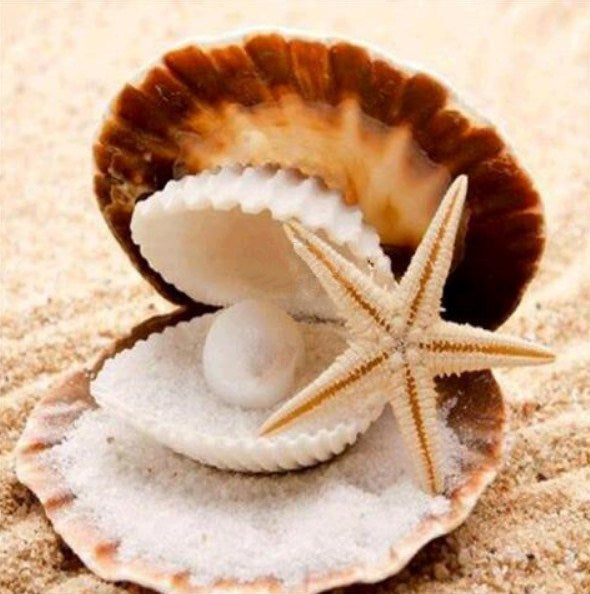 Pearl in the Oyster Paint by Diamonds