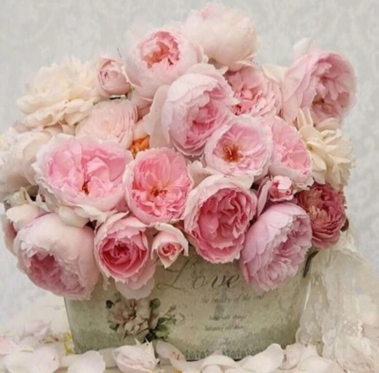 Peony Diamond Painting Kit