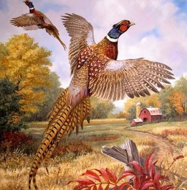 Pheasant DIY Diamond Painting