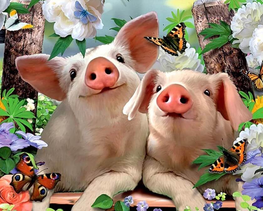 Pigs Diamond Painting Kit