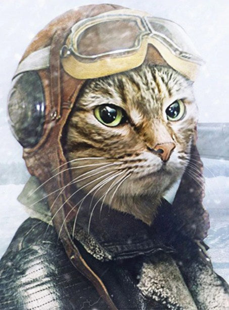 Pilot Cat Paint by Diamonds