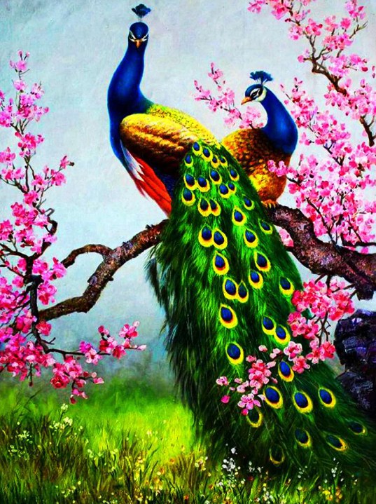 Pink Flowers & Peacocks Pair Diamond Painting
