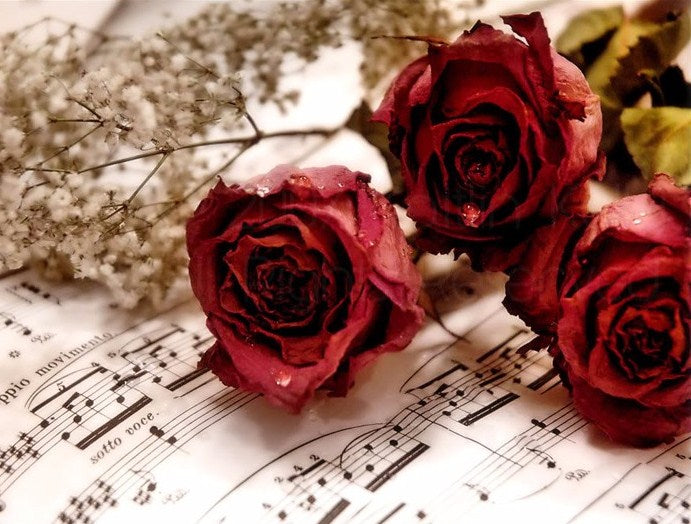 Roses Full Drill Painting Kit\