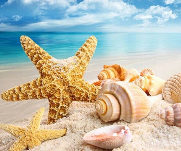 Seashells in the Ocean Diamond Painting