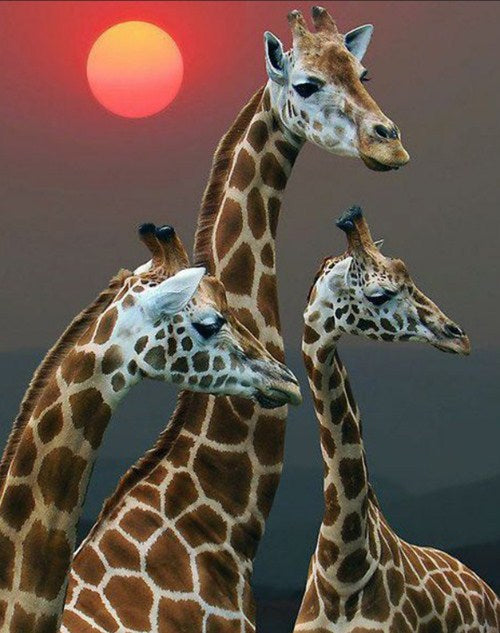 Setting Sun & Giraffe Diamond Painting Kit