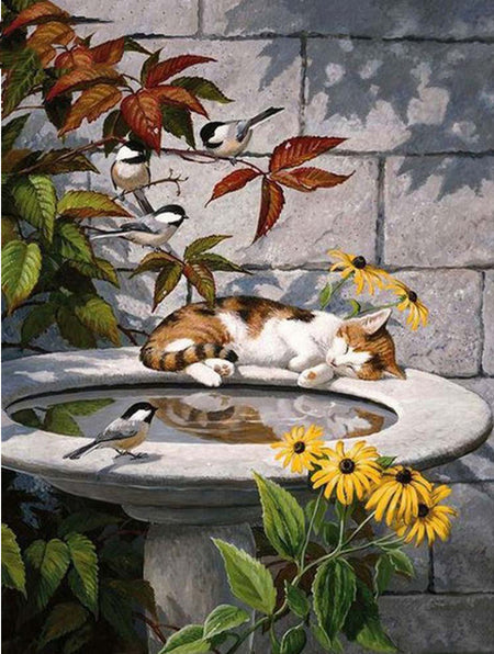 Sleeping Cat & Birds Diamond Painting