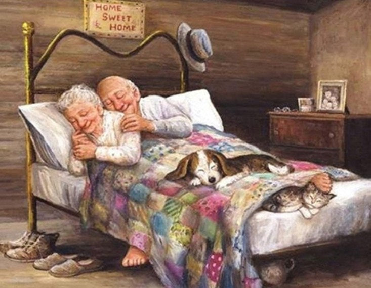 Sleeping Old Couple Paint by Diamonds