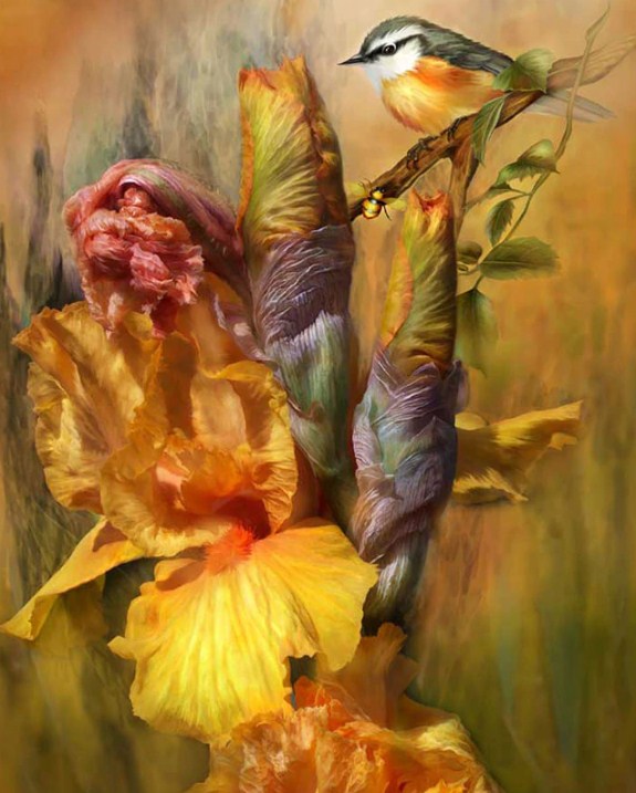 Summer Wonders by Carol Cavalaris Diamond Painting