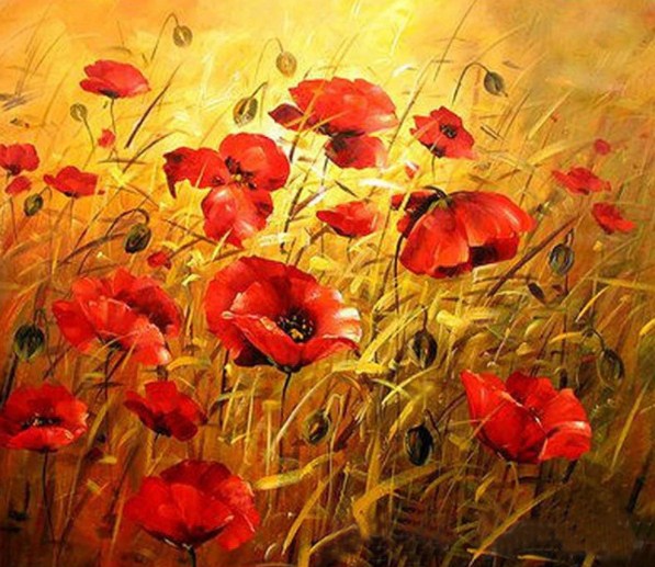Sun Shines in Poppy Fields Diamond Painting