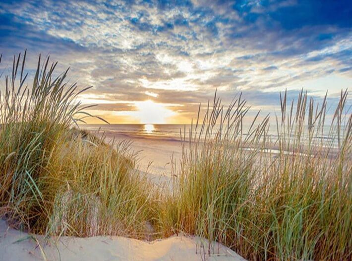 Sunset Landscape Painting Kit