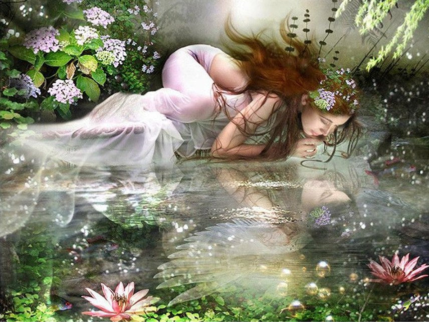 The Swan Princess Paint by Diamonds